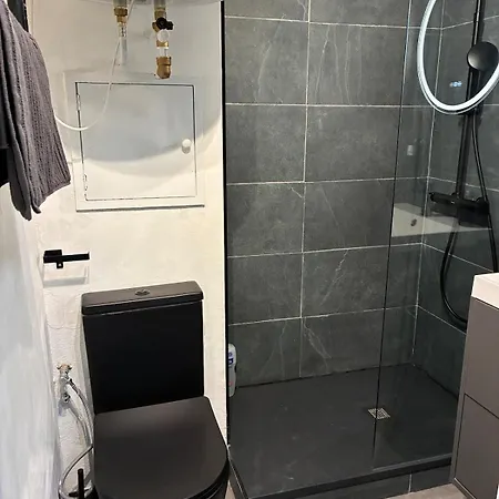 Apartment Magnifique A 250 Metres Des Pistes Avec Inclus Bolquere Pyrenees 2000
